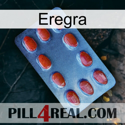 Eregra 06